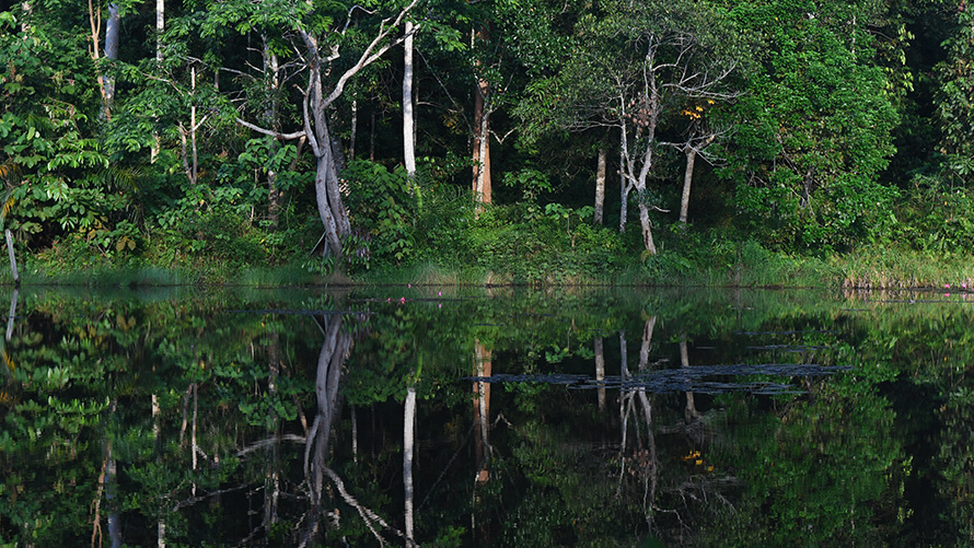 Durabilité BMW rapport BMW Group plan d’eau avec arbres en arrière-plan